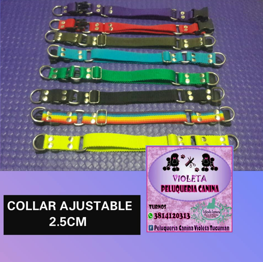 Imagen de COLLARES