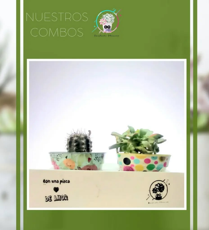 Imagen de PLANTAS
