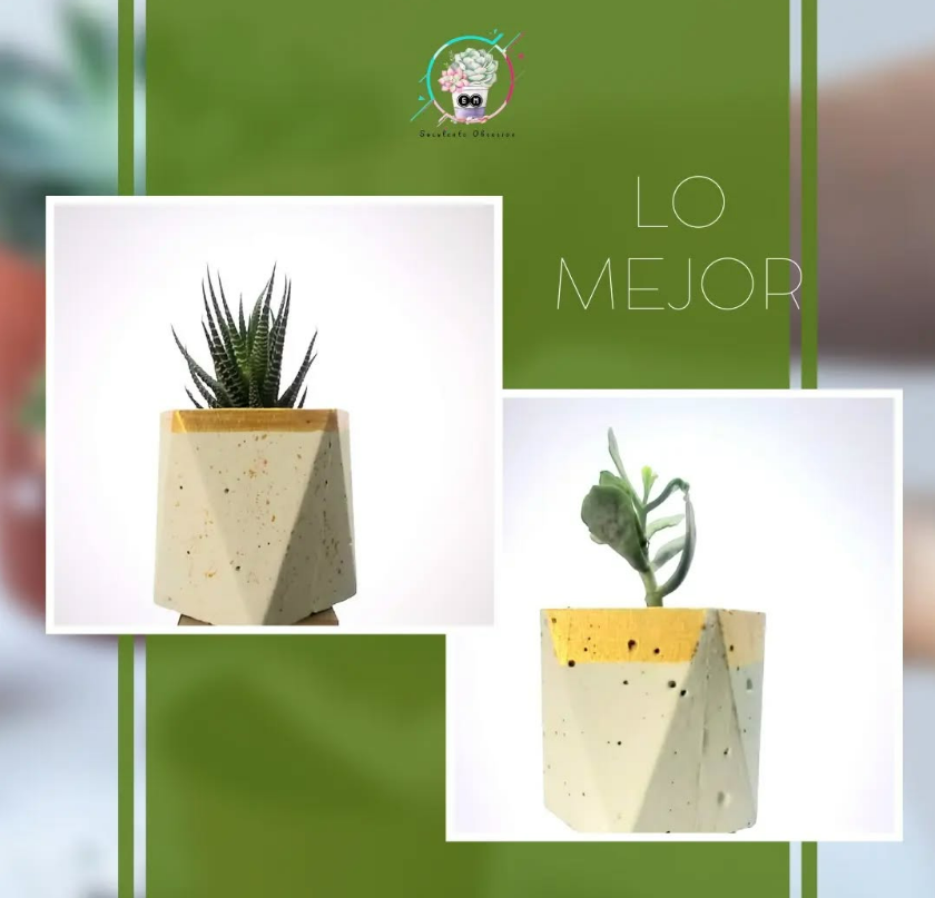 Imagen de PLANTAS