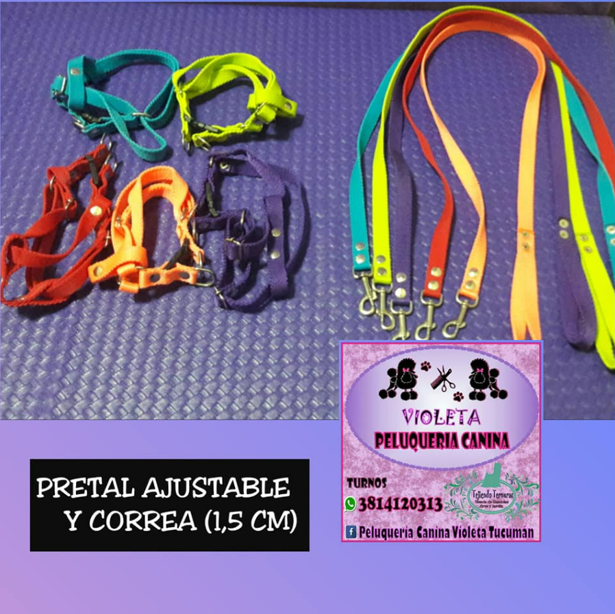 COLLARES