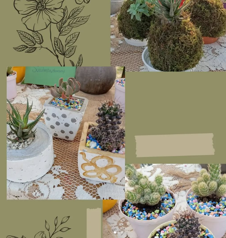 Imagen de PLANTAS