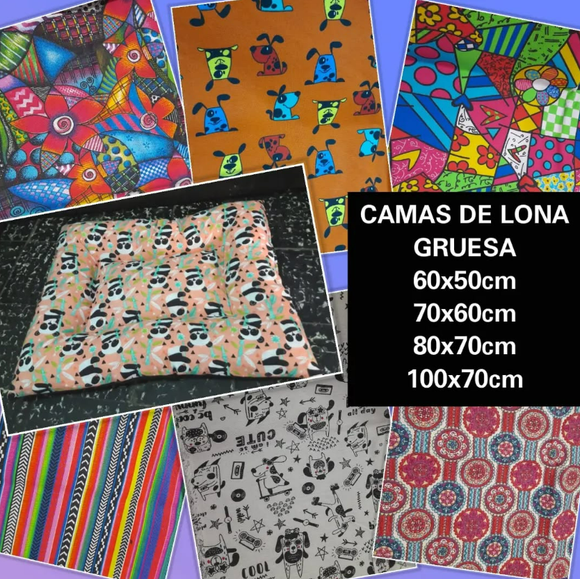 Imagen de CAMAS