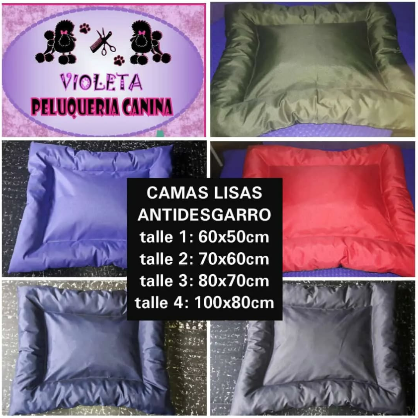 CAMAS