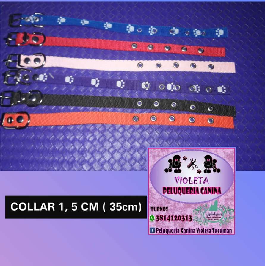 Imagen de COLLARES