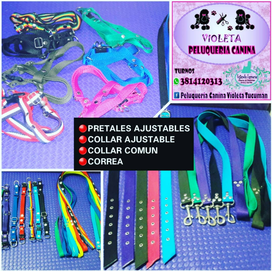 Imagen de COLLARES