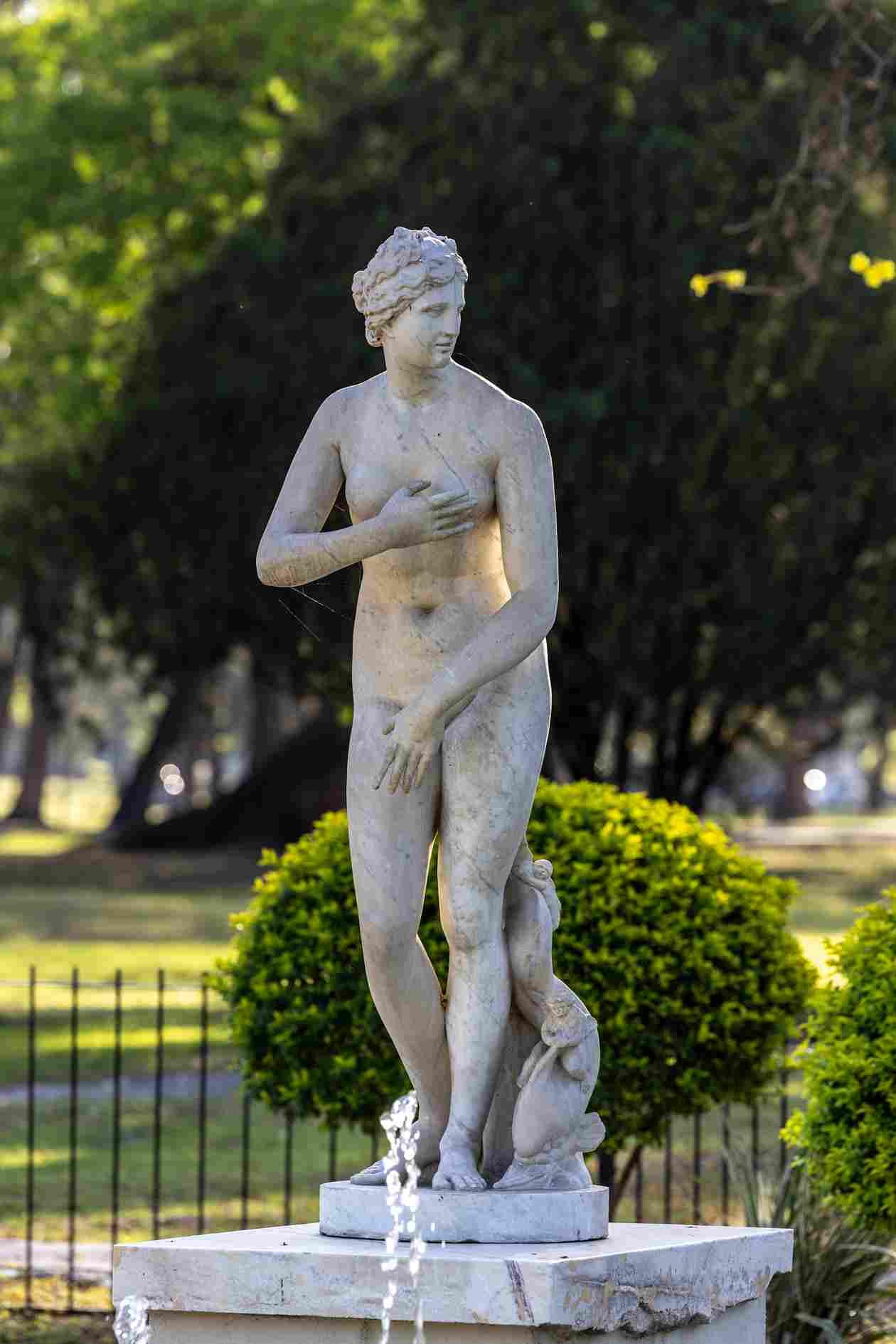 VENUS DE MEDICI VENUS DE MEDICI
